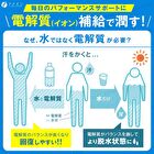 Fine Japan Ion Drink - 3.2g x 22