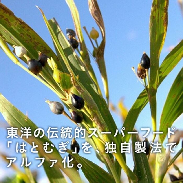 Fine Japan Coix Seed Extract Tablets - 300 Tablets