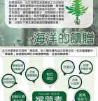 Fine Japan Fucoidan Tablet - 198 Tablets
