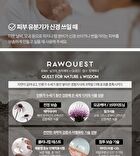 Rawquest Echinacea Airy Sun Stick - 19g