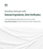 Calming Madecasoside Spot Cream - 30ml