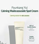 Calming Madecasoside Spot Cream - 30ml