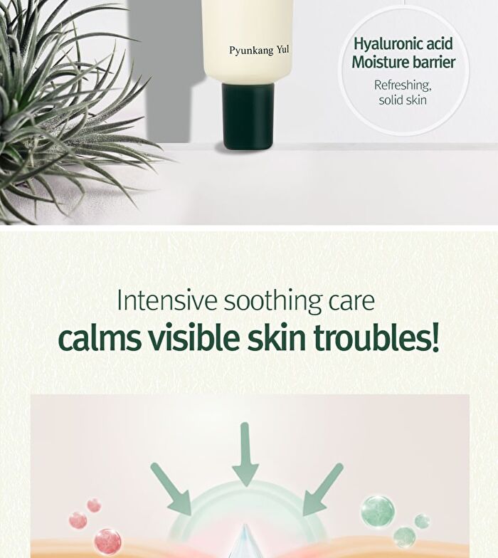 Calming Madecasoside Spot Cream - 30ml