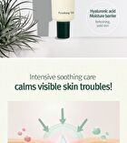 Calming Madecasoside Spot Cream - 30ml