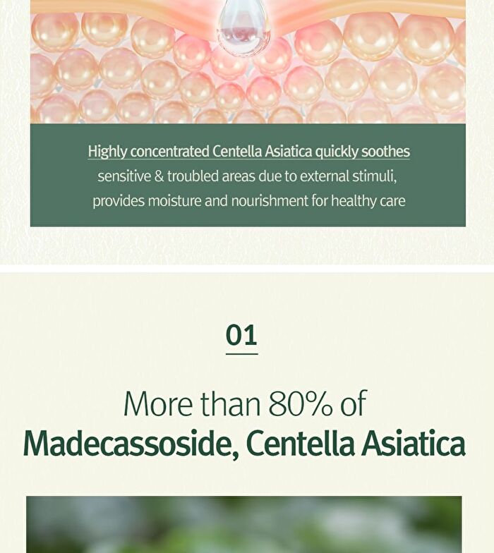 Calming Madecasoside Spot Cream - 30ml