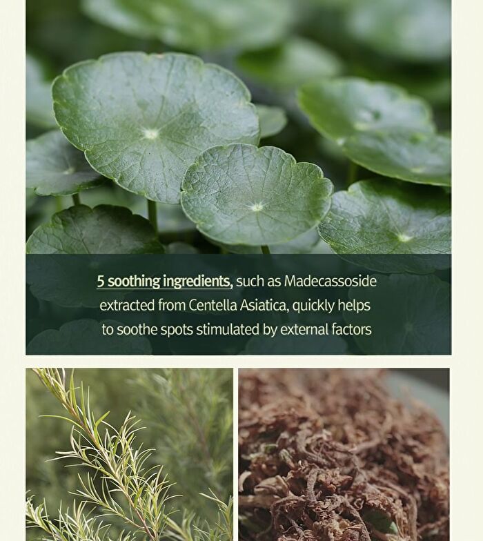Calming Madecasoside Spot Cream - 30ml