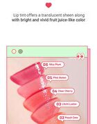 Juicy Drop Tint - 8 Colors - #06 Nice Plum