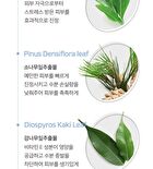 Perfect Waterful UV Sun Essence - 50ml