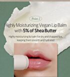 Vegan Signature Lip Balm - 6.5g