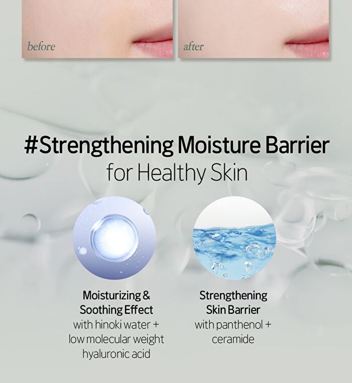 Vegan Toneup Sun Cream - 50ml