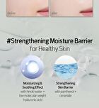 Vegan Toneup Sun Cream - 50ml