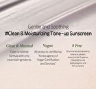 Vegan Toneup Sun Cream - 50ml