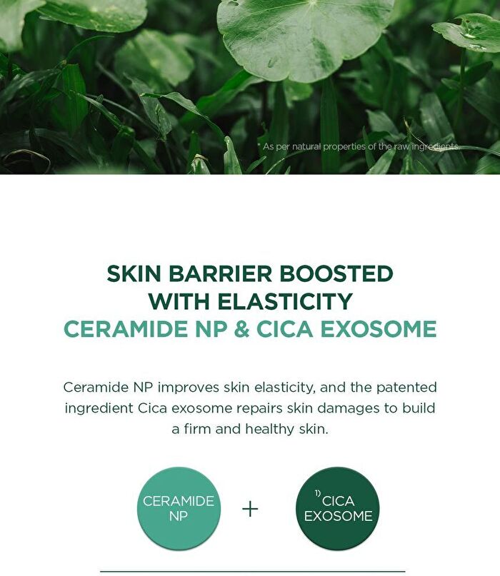 SKIN1004 Madagascar Centella Tea-Trica B5 Cream - 75ml