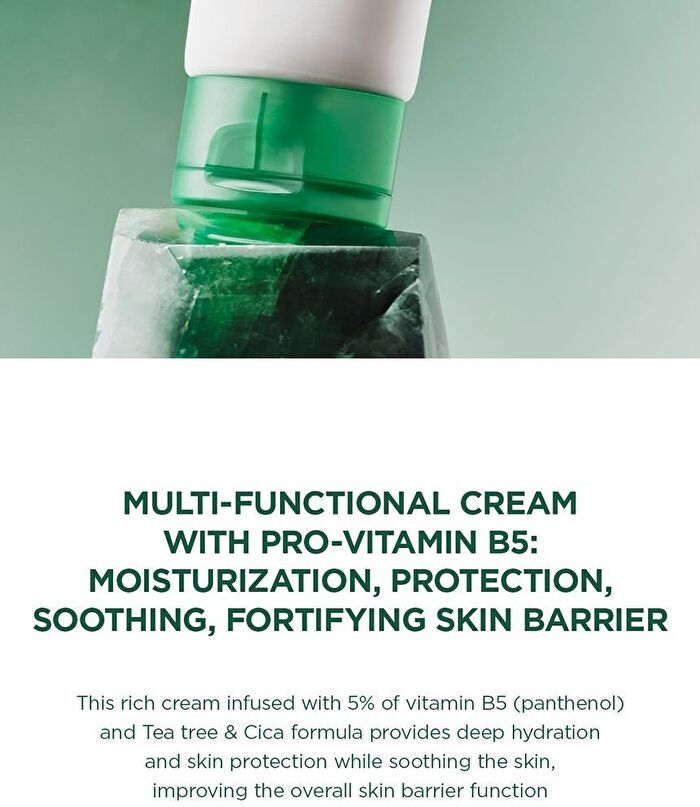SKIN1004 Madagascar Centella Tea-Trica B5 Cream - 75ml