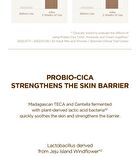 SKIN1004 Madagascar Centella Probio-Cica Intensive Ampoule Jumbo - 95ml