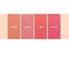 romand Blur Fudge Tint Be Oveeer Shade Edition - 5 Colors - #12 Warming Up