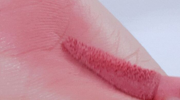 romand Blur Fudge Tint Be Oveeer Shade Edition - 5 Colors - #12 Warming Up