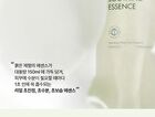 Dermalogy Real Heartleaf Soothing Essence - 150ml