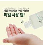 Dermalogy Real Heartleaf Soothing Essence - 150ml