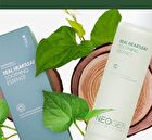 Dermalogy Real Heartleaf Soothing Essence - 150ml
