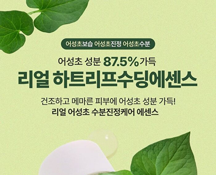 Dermalogy Real Heartleaf Soothing Essence - 150ml
