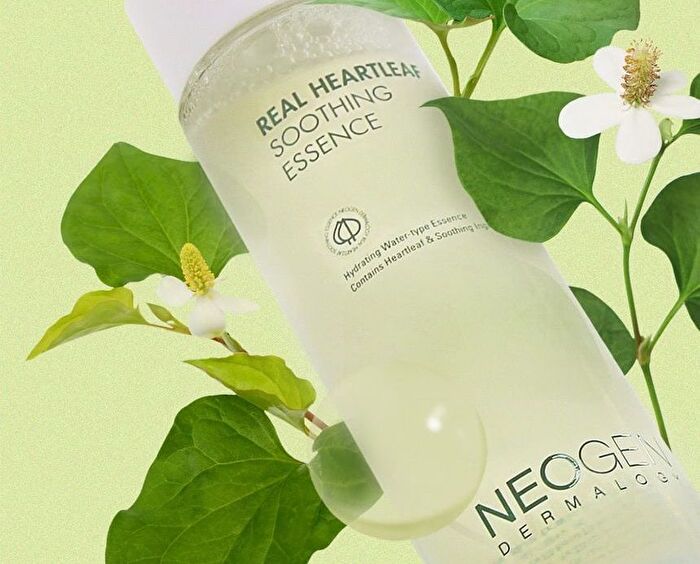 Dermalogy Real Heartleaf Soothing Essence - 150ml