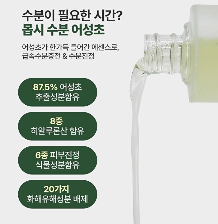 Dermalogy Real Heartleaf Soothing Essence - 150ml
