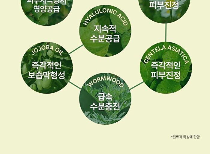 Dermalogy Real Heartleaf Soothing Essence - 150ml
