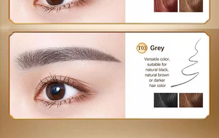 Palace Identity Drunken Rhythm Gilt Exquisite Eyebrow Pencil - 2 Colours - #T01 Dark Brown - 0.07g*2