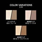 Kate 3D Create Nuance Powder - EX-03 Coral Brown