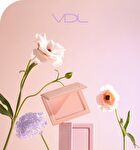 Vdl Cheek Stain Blusher - 7 Colors - #07 Misty Apricot