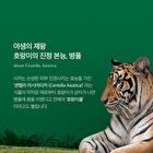 Super Cica Daily Quick Mask - 30 sheets