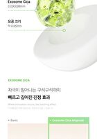 Exosome Cica Ampoule - 30ml