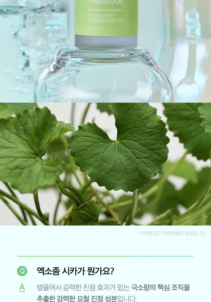 Exosome Cica Ampoule - 30ml