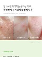 Exosome Cica Toner - 210ml