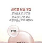 Triple Collagen Cream 4.0 - 50ml