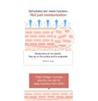 Triple Collagen Cream 4.0 - 50ml