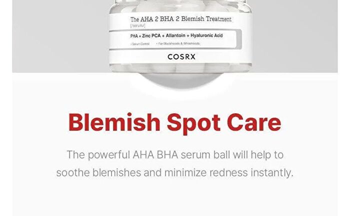 The AHA 2 BHA 2 Blemish Treatment - 120g