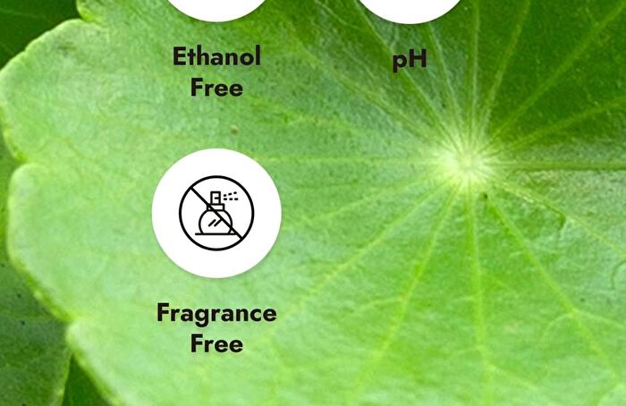 Frankly CICA 80 & HA Soothing Toner - 260ml