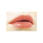 Lip Color Shield - 04 Mellow Pink