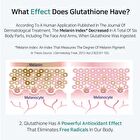 Aplb Glutathione Niacinamide Beauty Tablet - 500mg x 30 tablets