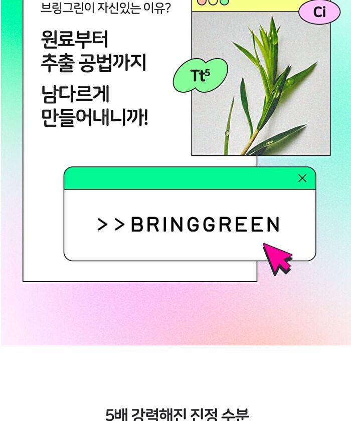Bring Green Tea Tree Cica Soothing Cream - Renewed - 100ml