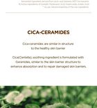 SKIN1004 Madagascar Centella Probio-Cica Bakuchiol Eye Cream - 20ml