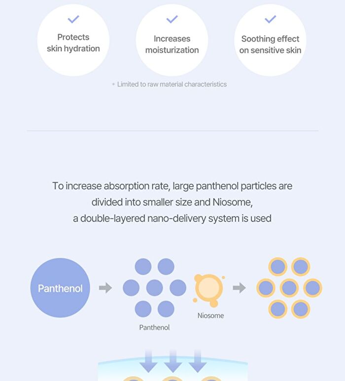 Care Liptual - 6 Colors - #04 Posy Rosy