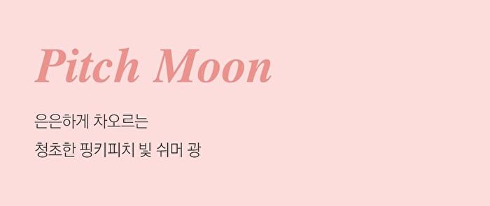 Highlighter - 5 Colors - #01 Dewy Moon