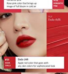 Black Rouge Double Layer Over Velvet Tint Gallery Edition - 8 Colors - DL08 Apricot Nudism