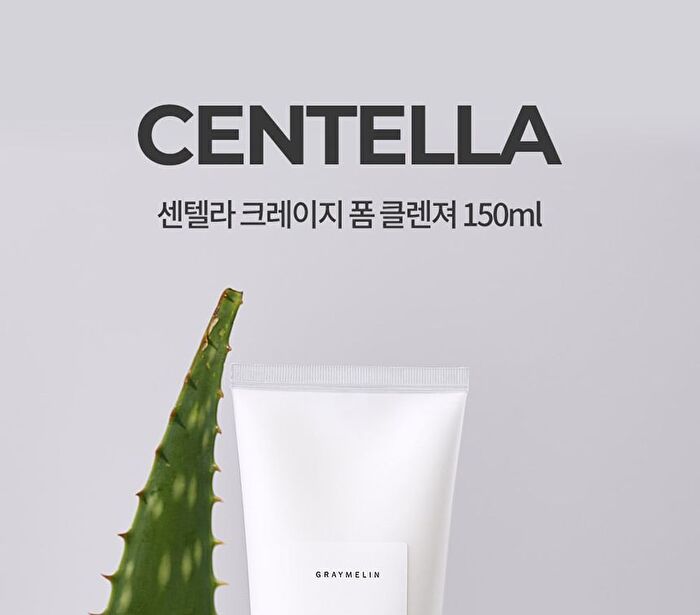 Graymelin Crazy Foam Cleanser Tube - 4 Types - Centella