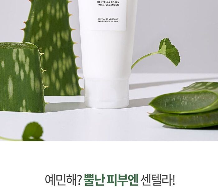 Graymelin Crazy Foam Cleanser Tube - 4 Types - Centella