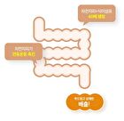 Brown Enzyme - 3g x 14 sticks