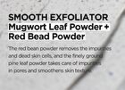 Mugwort Calming Clay Mask Mini - 20ml
